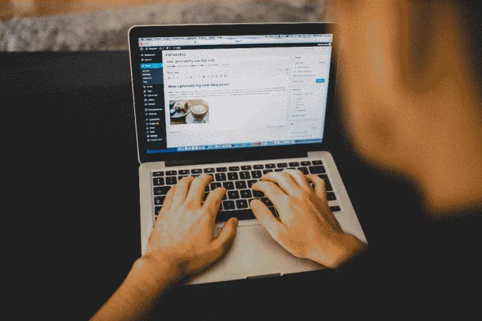 interface wordpress